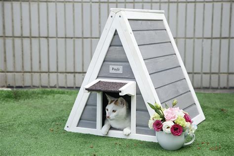 metal cat houses|best outdoor cat houses for dogs.